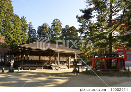 高野山祭壇佛教寺廟和三棵松樹 19082954
