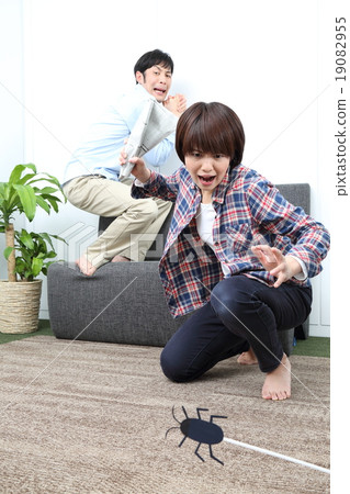昆蟲害蟲昆蟲蟑螂蠕蟲夫婦 19082955
