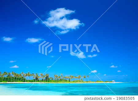 beach with Maldives beach with Maldives 19083505