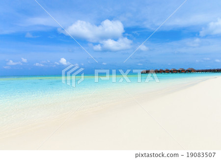 beach with Maldives beach with Maldives 19083507