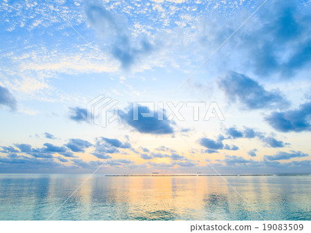tropical beach tropical beach 19083509