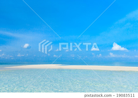 sea sea 19083511