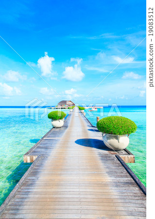beach with Maldives beach with Maldives 19083512