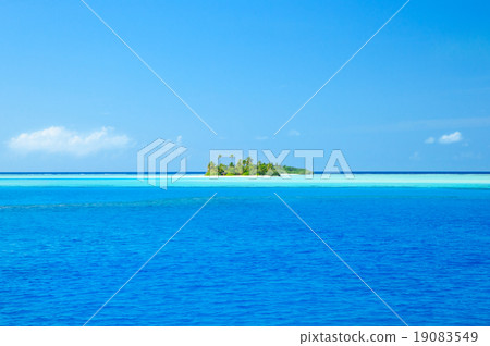 tropical beach tropical beach 19083549