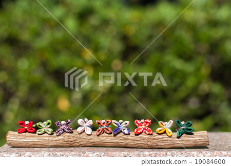 猴子猴子 19084600