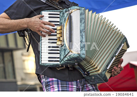 Young accordionist 19084641