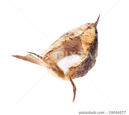 Grilled carp steak. Grilled carp steak. 19084877
