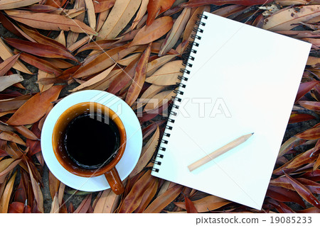 cup of coffee and notebook on dry leaves cup of coffee and notebook on dry leaves 19085233