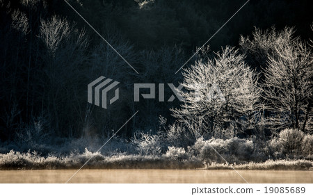 Morning sun dawns. Ice and frost covered wetlands. Morning sun dawns. Ice and frost covered wetlands. 19085689