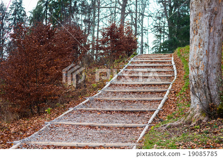 Forest wooden steps  at autumn leaves 19085785