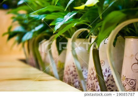 Beautiful room green flowers on the table Beautiful room green flowers on the table 19085787