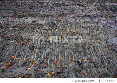 Traces of a tractor in the mud on ground Traces of a tractor in the mud on ground 19085792