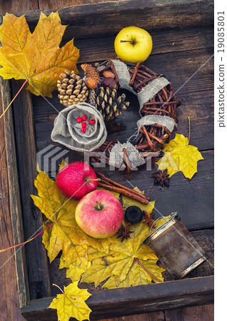 Autumn still life Autumn still life 19085801