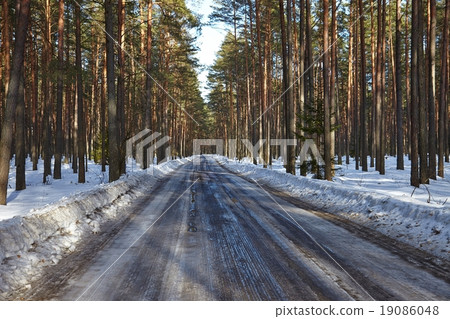 Winter Road 19086048