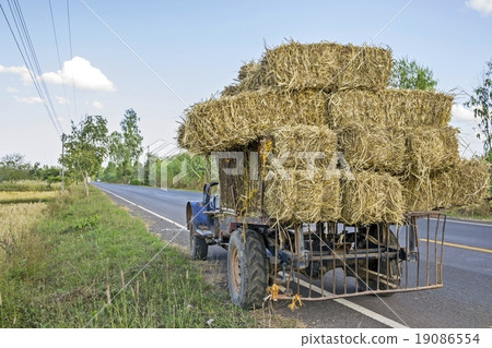a pile of straw on topped on a truck - Hay stack 19086554