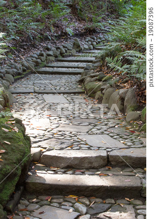 A stone steps trail 19087396