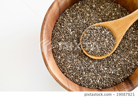 正大種子 19087821