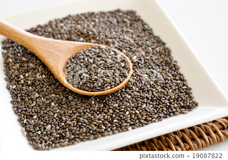 正大種子 19087822