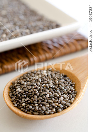 正大種子 19087824