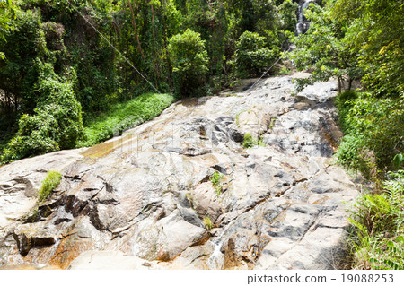 Waterfall on Koh Samui 19088253