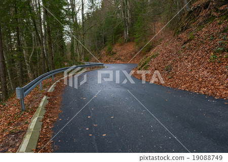 Road in autumn forest landscape Road in autumn forest landscape 19088749