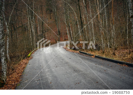 Road in autumn forest landscape Road in autumn forest landscape 19088750