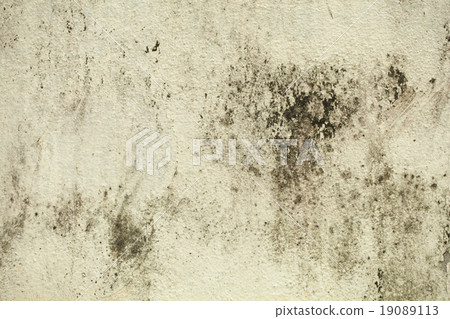 Cracks of the cement wall 19089113