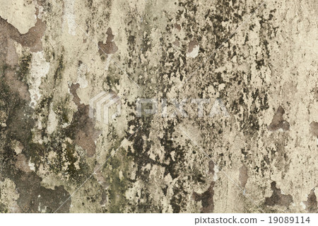 Cracks of the cement wall 19089114