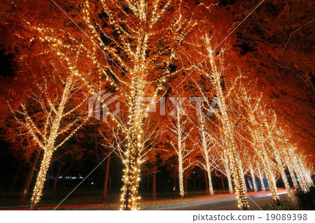 羅姆照明 羅姆照明 19089398