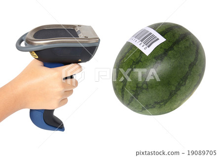 Scanning label on watermelon with barcode scanner 19089705