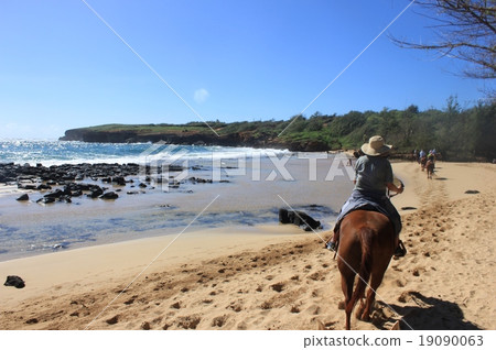 Horse trek 5 Horse trek 5 19090063