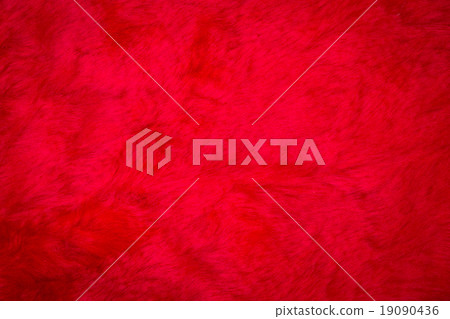 red fur 19090436