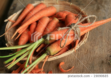 fresh carrot wood background 19090685