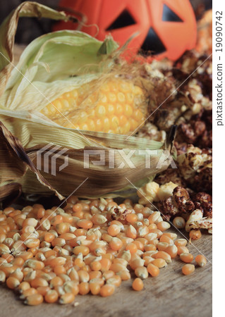 popcorn with seed halloween 19090742