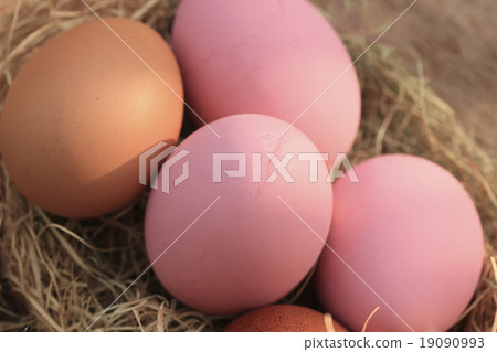 pink pickled preserved egg pink pickled preserved egg 19090993