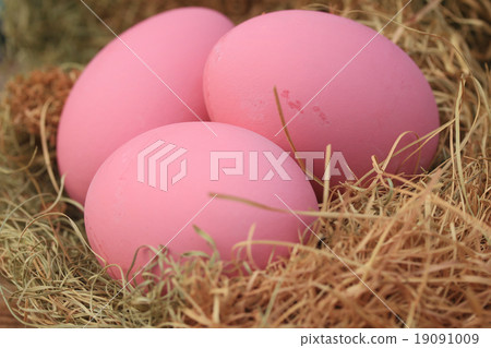 pink pickled preserved egg pink pickled preserved egg 19091009