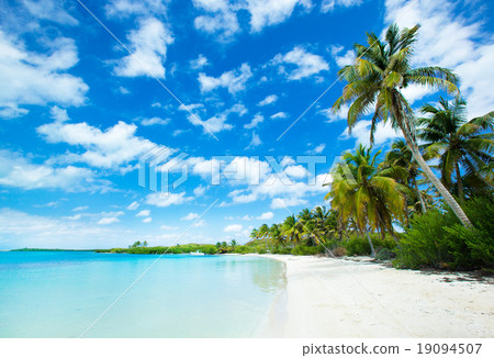 tropical beach 19094507