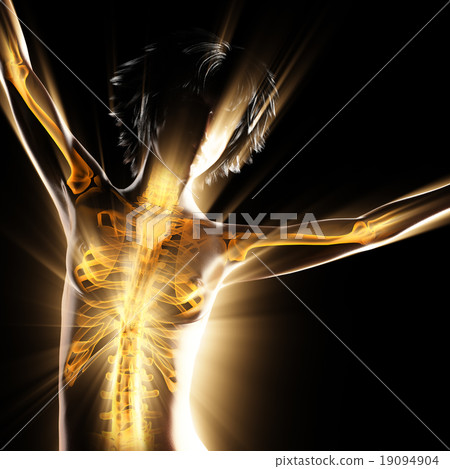 woman bones radiography scan image woman bones radiography scan image 19094904