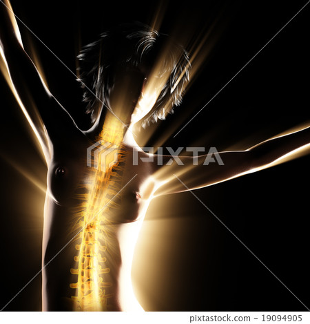woman bones radiography scan image 19094905