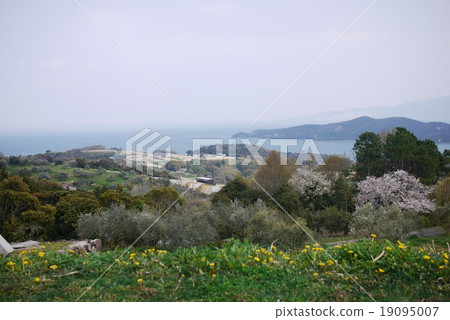 Beef window 1 Beef window 1 19095007