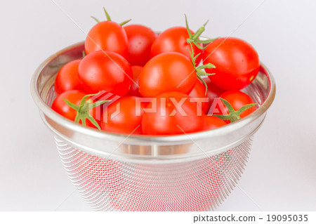 Fresh Tama tomato in a monkey 19095035