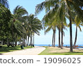 Hawaii Waikiki 19096025