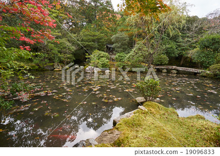 Kinchoin in autumn, Benten pond, Kyoto (super wide angle shooting) 19096833