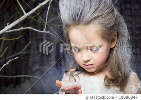 Snow Princess 19096847