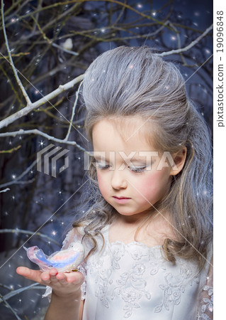 Snow Princess 19096848