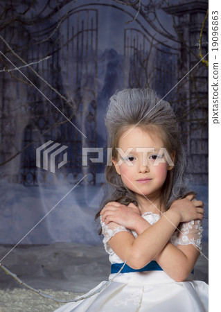 Snow Princess 19096863