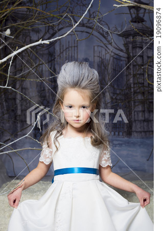 Snow Princess 19096874