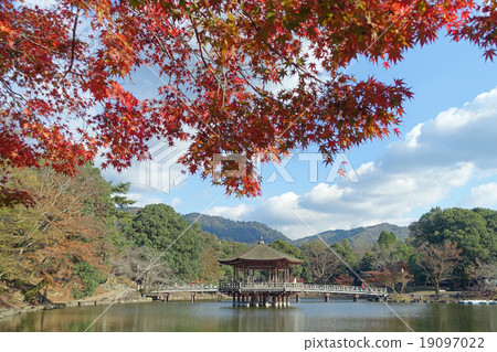 Fall stand Fall stand 19097022