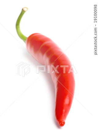 red chili pepper red chili pepper 19100098