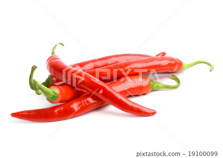 four red chili peppers 19100099